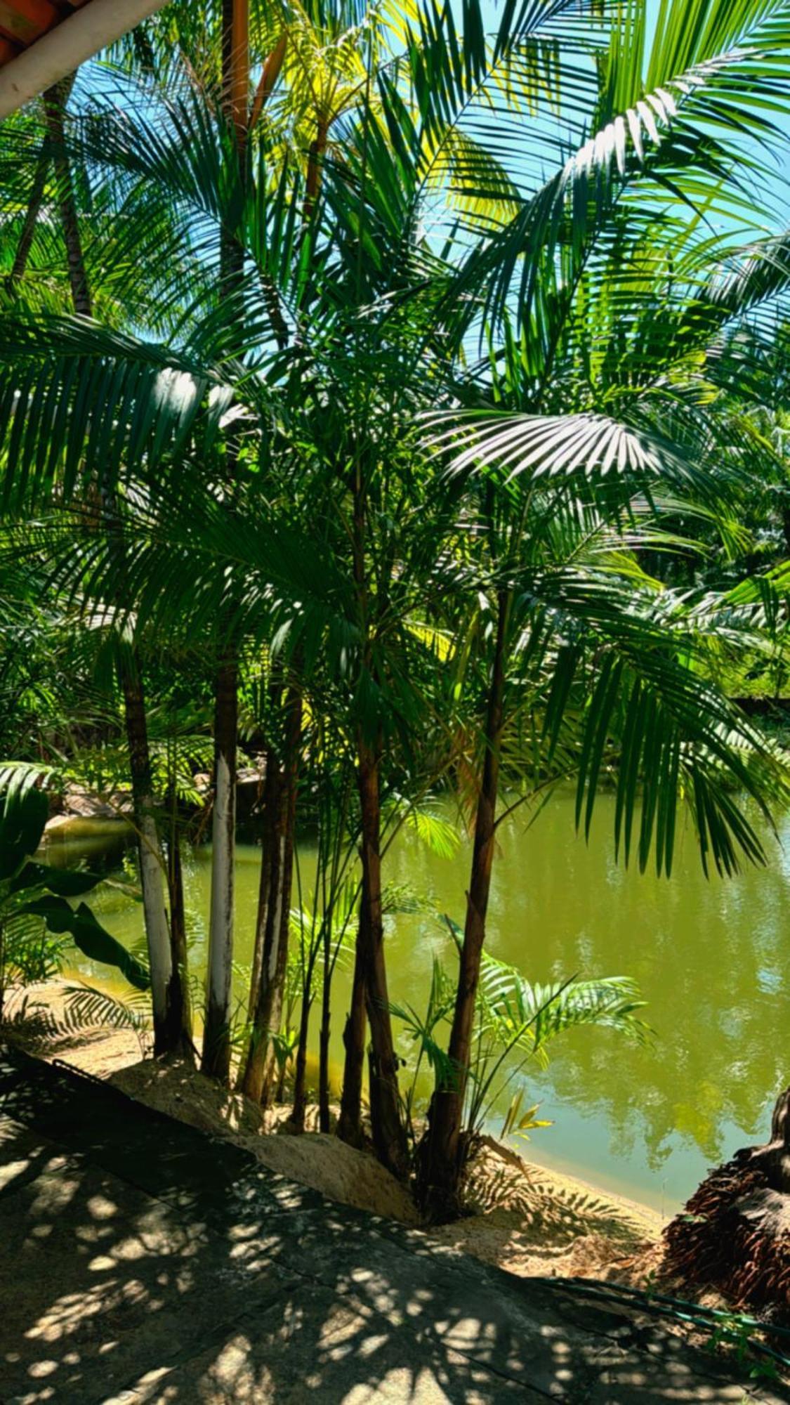 Hotel Pousada Beira Rio Barrerinhas Barreirinhas Esterno foto